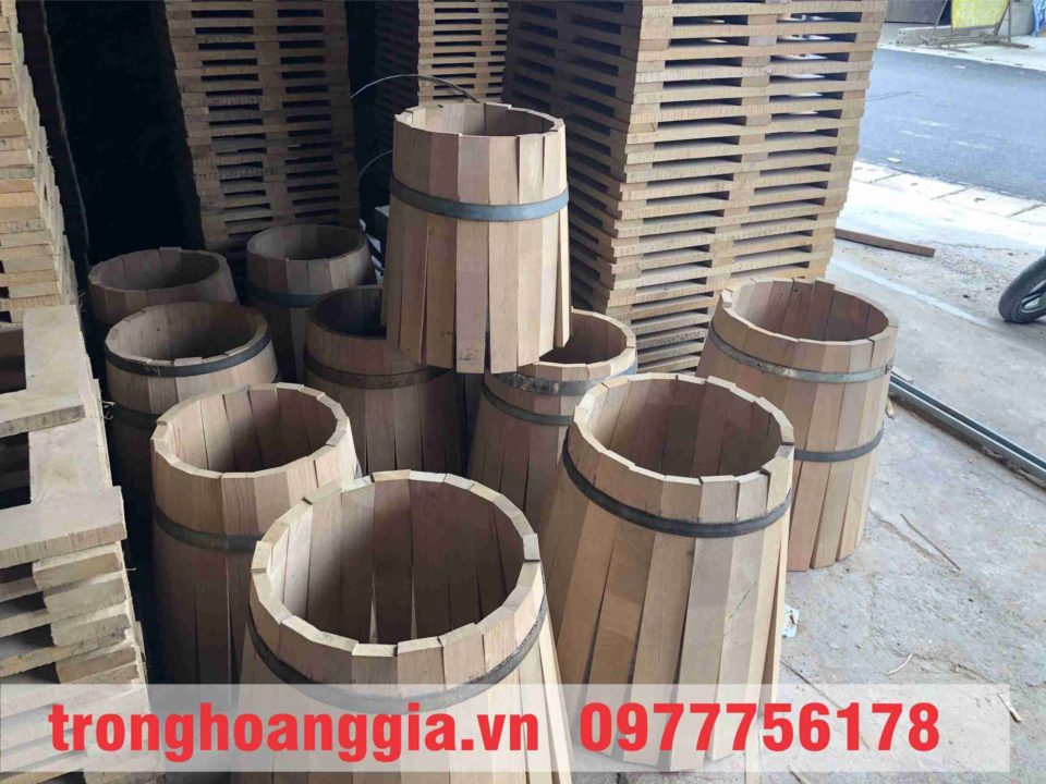 Quy trình làm thùng rượu gỗ sồi- Dựng thùng gỗ